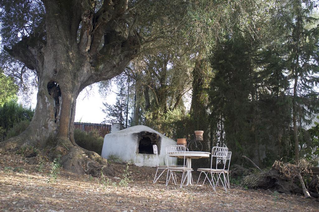Villas De La Ermita ベヘール・デ・ラ・フロンテーラ エクステリア 写真